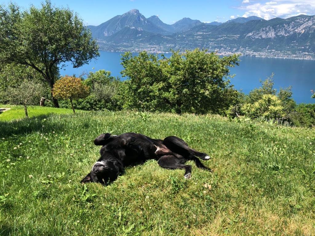 Favai Hills Your Secret Hideaway Brenzone sul Garda Luaran gambar